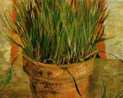 文森特 威廉 梵高 : 花盆中的细香葱